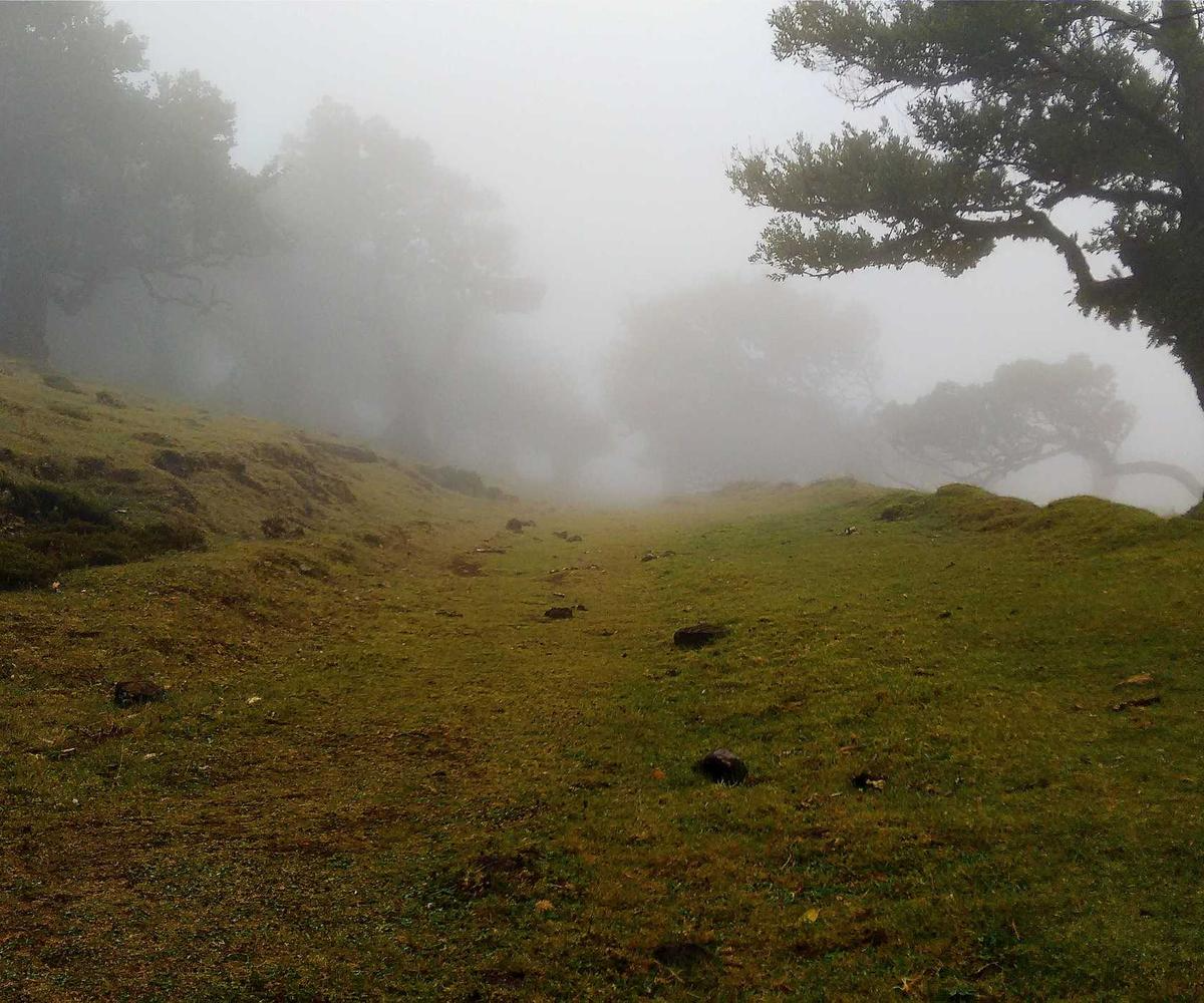 Spektrogramm-Landschaft als Bergkette — Acid-Green Wellenformen auf schwarzem Tiefenraum, vertikale Frequenzbalken im Hintergrund.